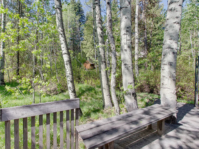 Picture of the Bristlecone Cabin in McCall, Idaho