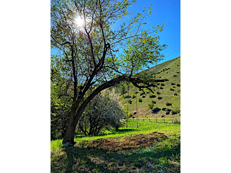 Picture of the South Fork Hideaway in Garden Valley, Idaho