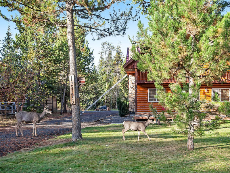 Picture of the Conti Cabin in Donnelly, Idaho