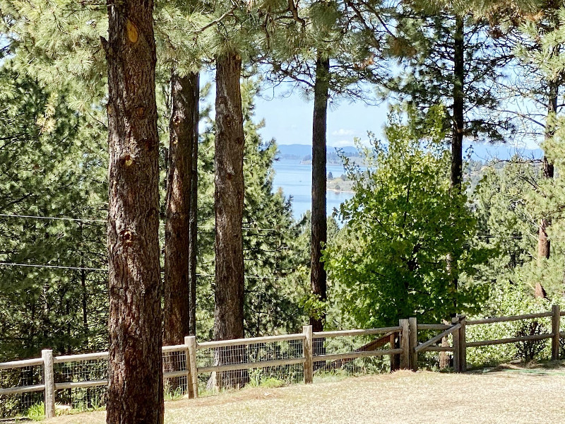 Picture of the Cascade Cottage in Cascade, Idaho