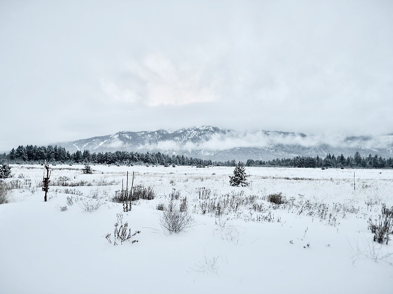 Picture of the Banjo Adventure Home in Donnelly, Idaho