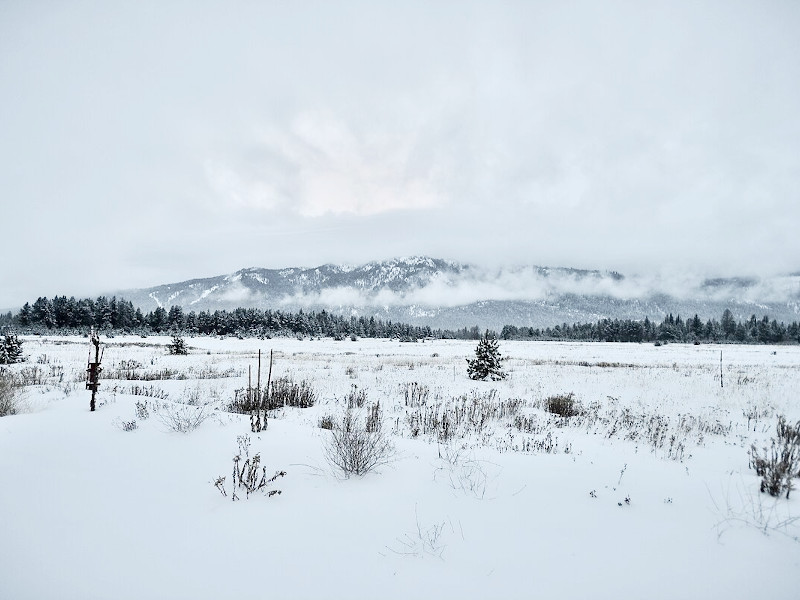 Picture of the Banjo Adventure Home in Donnelly, Idaho