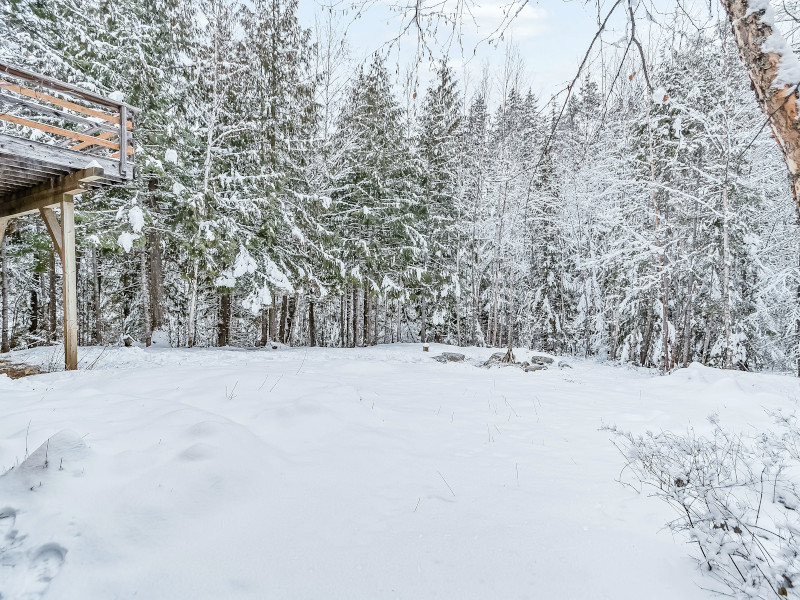 Picture of the Wooded Beauty Sandpoint in Sandpoint, Idaho