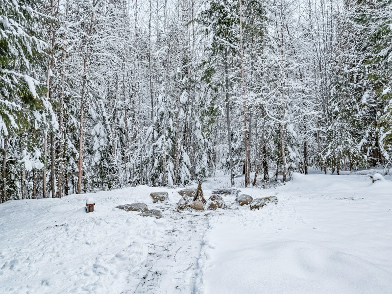 Picture of the Wooded Beauty Sandpoint in Sandpoint, Idaho