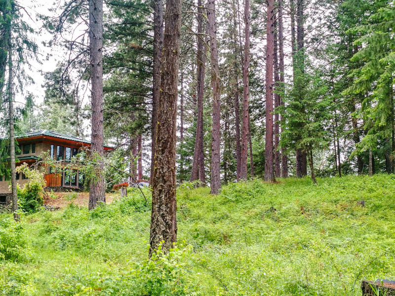 Picture of the Selby Knoll Guesthouse in Harrison, Idaho