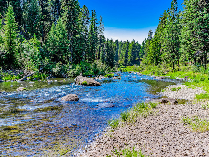 Picture of the The River House - McCall in McCall, Idaho