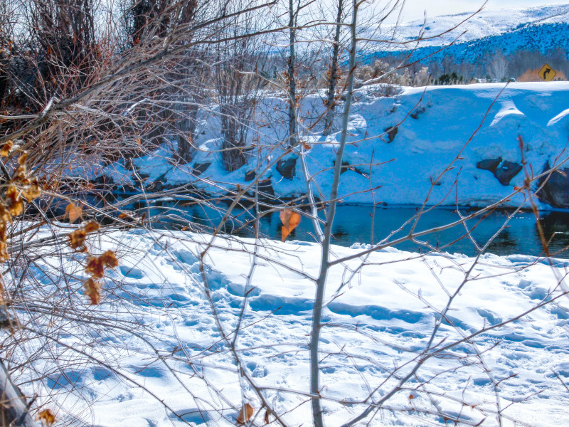 Picture of the Riverside Bliss - Bellevue in Hailey, Idaho