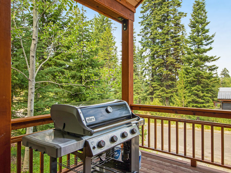 Picture of the McAbu House in McCall, Idaho