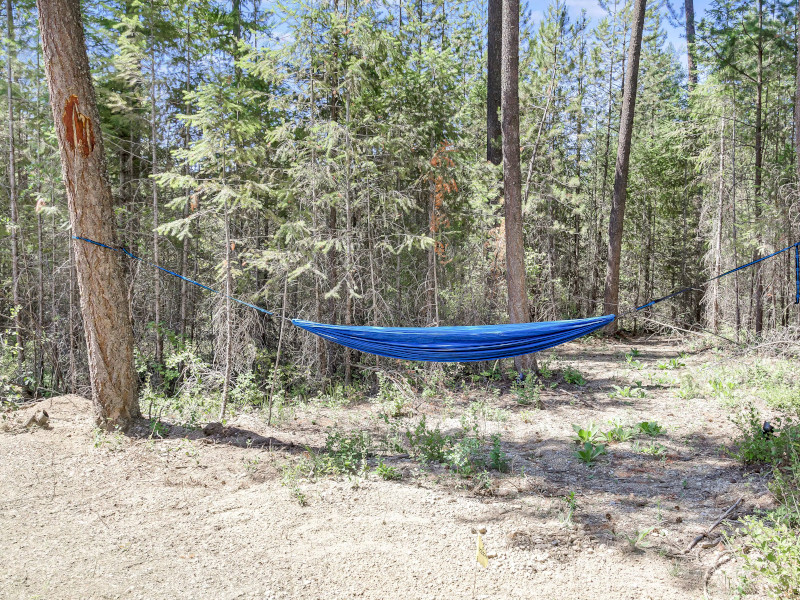 Picture of the The Lazy Bear - Priest River, ID in Sandpoint, Idaho