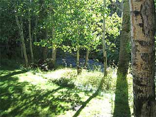 Picture of the Bridgepoint in Sun Valley, Idaho