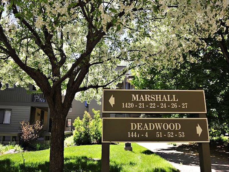 Picture of the Cottonwood in Sun Valley, Idaho