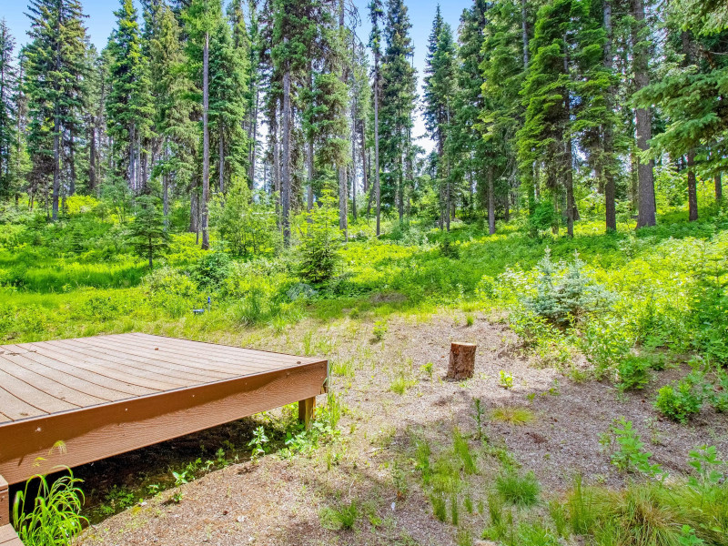 Picture of the Cabin in the Cove in McCall, Idaho