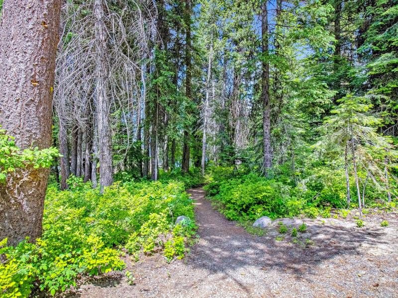 Picture of the Cabin in the Cove in McCall, Idaho