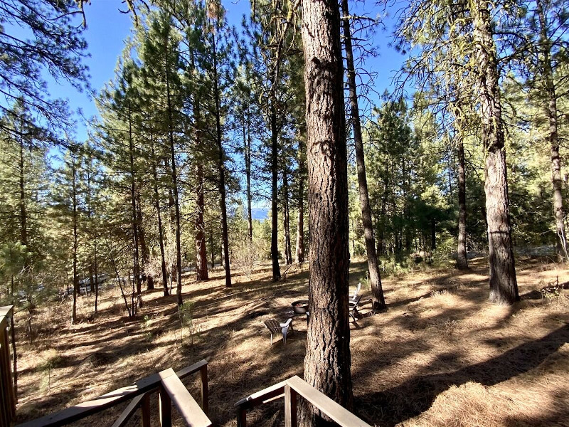 Picture of the Mint Chip Cabin in Cascade, Idaho