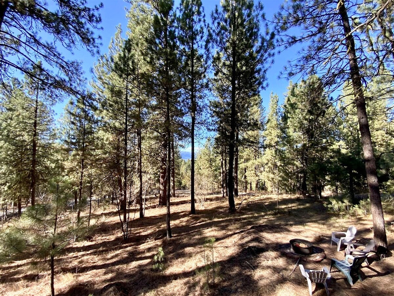 Picture of the Mint Chip Cabin in Cascade, Idaho