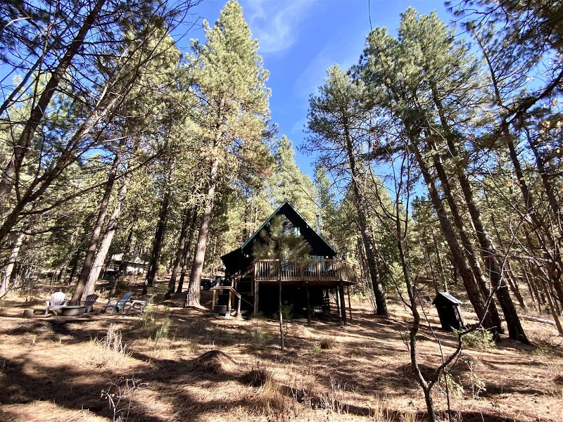 Picture of the Mint Chip Cabin in Cascade, Idaho