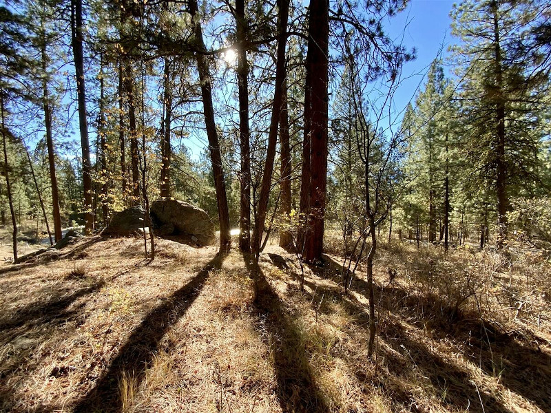 Picture of the Mint Chip Cabin in Cascade, Idaho