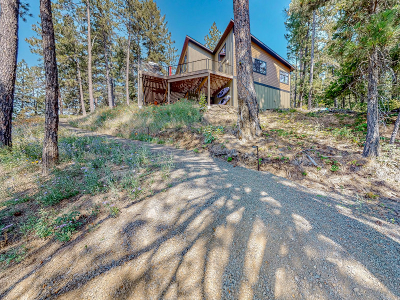 Picture of the Leaning Pine Point at Half Round Bay in Harrison, Idaho