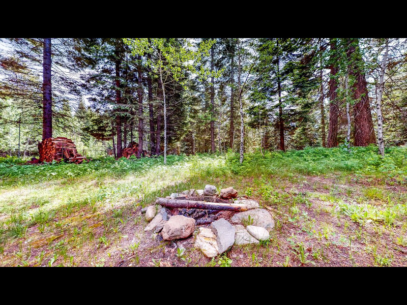 Picture of the Deer Pines in McCall, Idaho