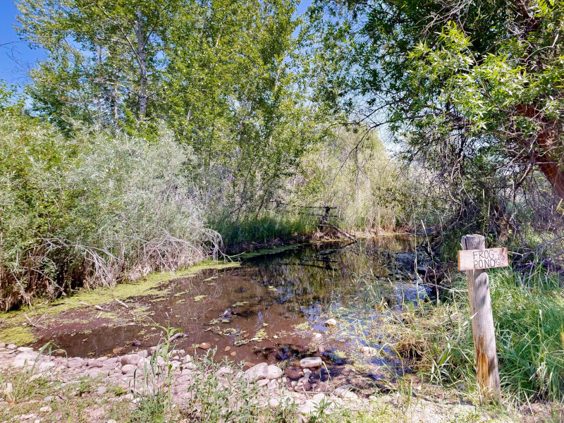 Picture of the Riverhouse - Salmon, ID in Salmon, Idaho