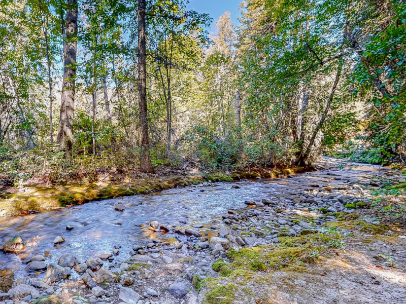 Picture of the Creekside Cabin - Hope, ID in Sandpoint, Idaho