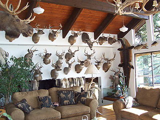 Picture of the Whitebird Summit Lodge B&B in Grangeville, Idaho