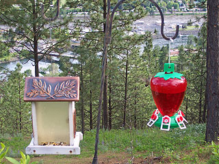 Picture of the High Country Inn B&B- Ahsahka in Orofino, Idaho