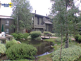 Picture of the Cottonwood in Sun Valley, Idaho