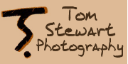 Tom Stewart Photography