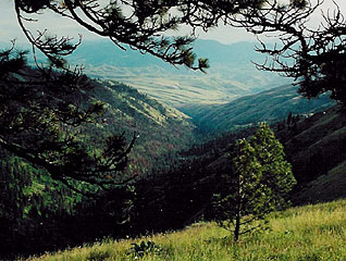 Whitebird Summit Lodge Activities in Grangeville, Idaho.