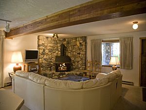 Living Fireplace