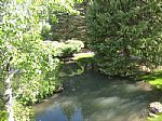 View of Pond from deck