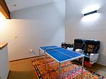 Loft/Ping-Pong Table