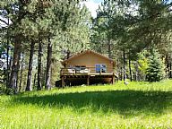 Pine Cone Cabin vacation rental property