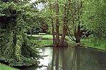 View of Grounds