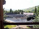 View of Rink