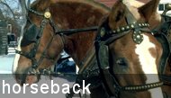 Idaho Horseback Deals and specials