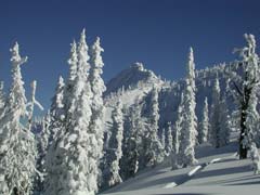 Catskiing on Brundage Mountain, © 2002 InIdaho.com