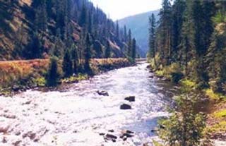 Clearwater River, © Wild Web West